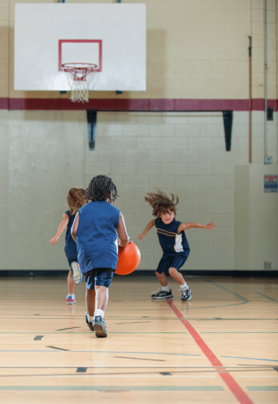 Categoría Baloncesto Alineación Online