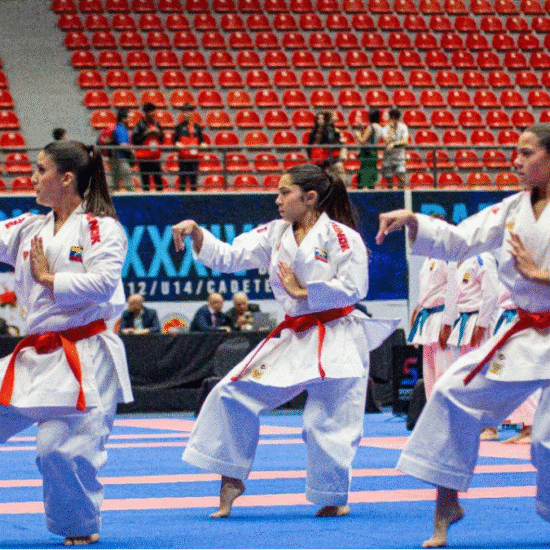 Venezuela medallas Panamericano Karate Do 2025